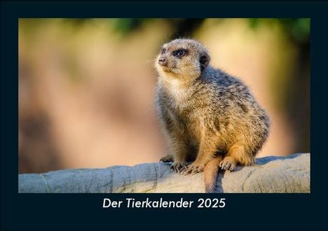 Tobias Becker: Der Tierkalender 2025 Fotokalender DIN A5, Kalender