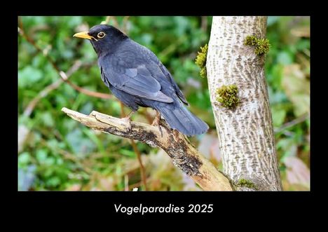 Tobias Becker: Vogelparadies 2025 Fotokalender DIN A3, Kalender