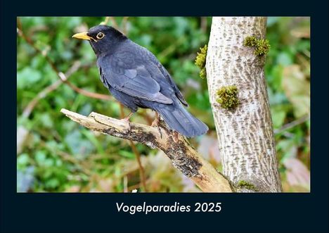 Tobias Becker: Vogelparadies 2025 Fotokalender DIN A4, Kalender