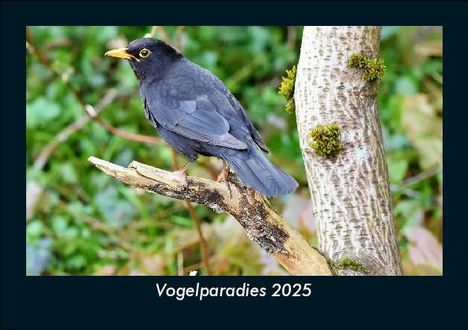 Tobias Becker: Vogelparadies 2025 Fotokalender DIN A5, Kalender