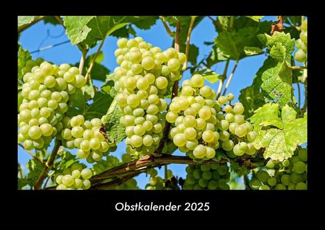 Tobias Becker: Obstkalender 2025 Fotokalender DIN A3, Kalender