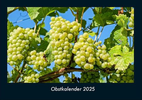 Tobias Becker: Obstkalender 2025 Fotokalender DIN A4, Kalender