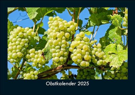 Tobias Becker: Obstkalender 2025 Fotokalender DIN A5, Kalender