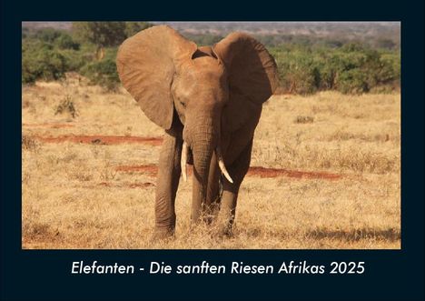 Tobias Becker: Elefanten - Die sanften Riesen Afrikas 2025 Fotokalender DIN A4, Kalender