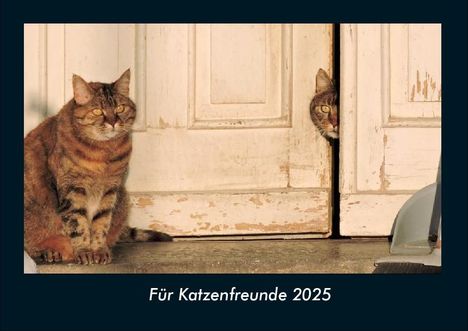 Tobias Becker: Für Katzenfreunde 2025 Fotokalender DIN A4, Kalender