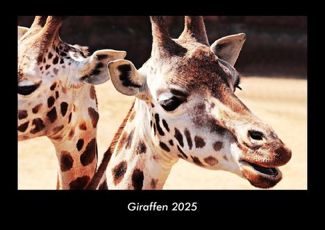 Tobias Becker: Giraffen 2025 Fotokalender DIN A3, Kalender