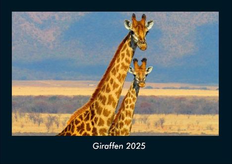 Tobias Becker: Giraffen 2025 Fotokalender DIN A4, Kalender