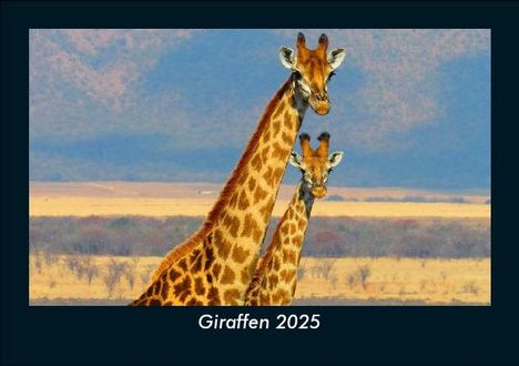 Tobias Becker: Giraffen 2025 Fotokalender DIN A5, Kalender