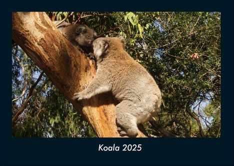 Tobias Becker: Koala 2025 Fotokalender DIN A4, Kalender