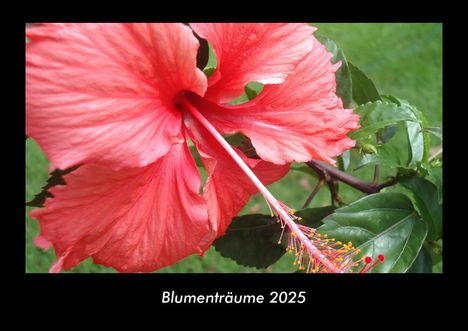 Tobias Becker: Blumenträume 2025 Fotokalender DIN A3, Kalender