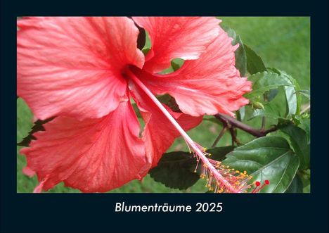 Tobias Becker: Blumenträume 2025 Fotokalender DIN A4, Kalender