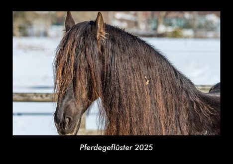 Tobias Becker: Pferdegeflüster 2025 Fotokalender DIN A3, Kalender