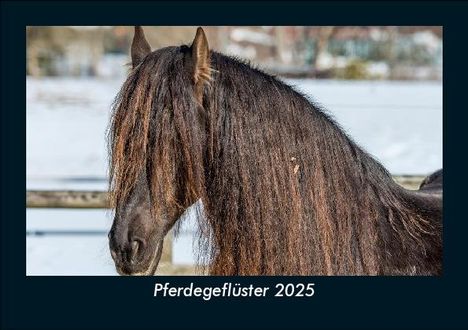 Tobias Becker: Pferdegeflüster 2025 Fotokalender DIN A5, Kalender