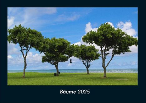 Tobias Becker: Bäume 2025 Fotokalender DIN A4, Kalender