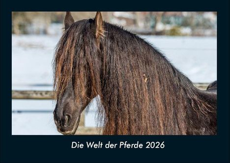 Tobias Becker: Die Welt der Pferde 2026 Fotokalender DIN A4, Kalender