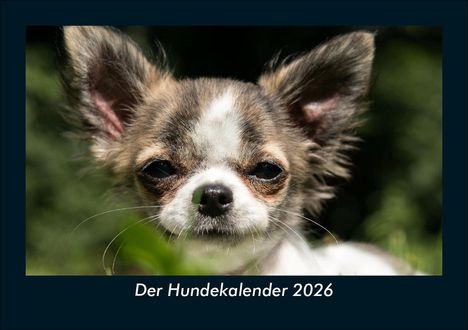 Kevin Heber: Der Hundekalender 2026 Fotokalender DIN A5, Kalender