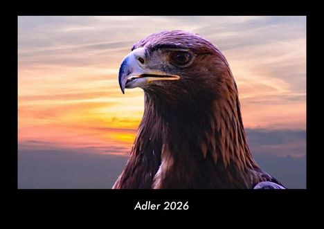 Tobias Becker: Adler 2026 Fotokalender DIN A3, Kalender
