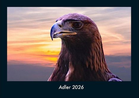 Tobias Becker: Adler 2026 Fotokalender DIN A4, Kalender