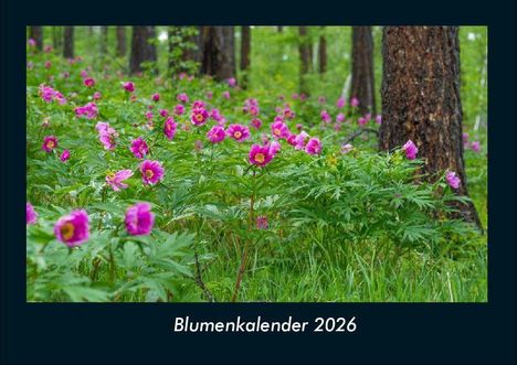 Tobias Becker: Blumenkalender 2026 Fotokalender DIN A4, Kalender