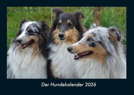 Tobias Becker: Der Hundekalender 2026 Fotokalender DIN A4, Kalender