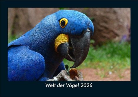Tobias Becker: Welt der Vögel 2026 Fotokalender DIN A5, Kalender