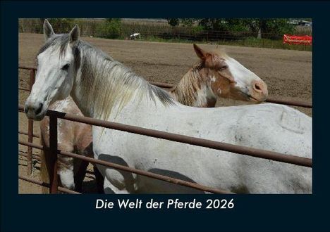 Tobias Becker: Die Welt der Pferde 2026 Fotokalender DIN A5, Kalender