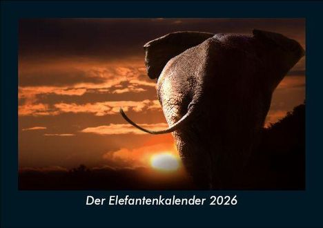 Tobias Becker: Der Elefantenkalender 2026 Fotokalender DIN A5, Kalender