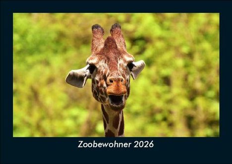 Tobias Becker: Zoobewohner 2026 Fotokalender DIN A5, Kalender
