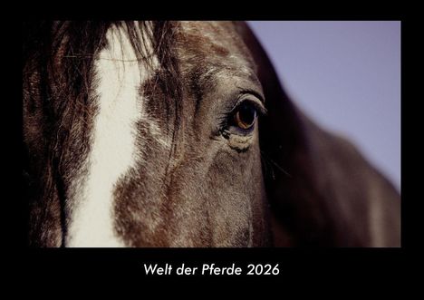 Tobias Becker: Welt der Pferde 2026 Fotokalender DIN A3, Kalender