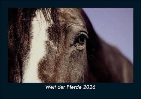 Tobias Becker: Welt der Pferde 2026 Fotokalender DIN A5, Kalender