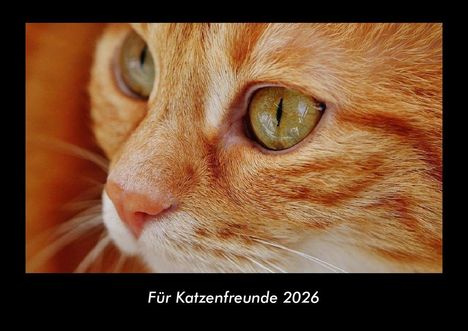 Tobias Becker: Für Katzenfreunde 2026 Fotokalender DIN A3, Kalender