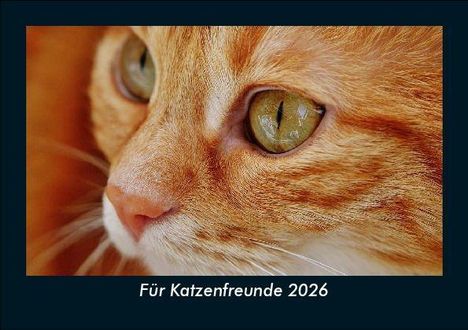 Tobias Becker: Für Katzenfreunde 2026 Fotokalender DIN A5, Kalender