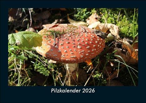 Tobias Becker: Pilzkalender 2026 Fotokalender DIN A5, Kalender