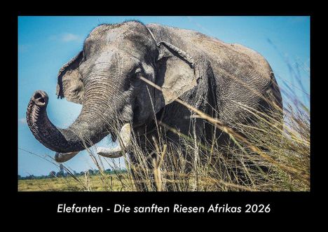 Tobias Becker: Elefanten - Die sanften Riesen Afrikas 2026 Fotokalender DIN A3, Kalender