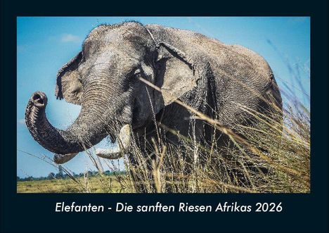 Tobias Becker: Elefanten - Die sanften Riesen Afrikas 2026 Fotokalender DIN A4, Kalender