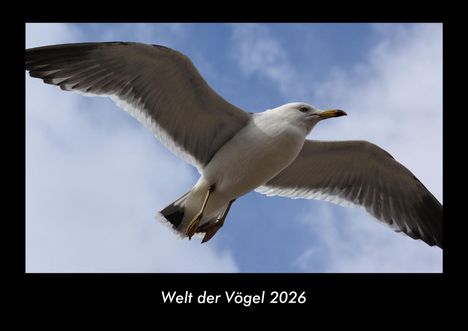 Kevin Heber: Welt der Vögel 2026 Fotokalender DIN A3, Kalender