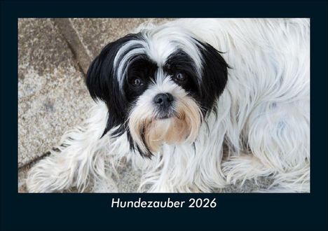 Kevin Heber: Hundezauber 2026 Fotokalender DIN A5, Kalender