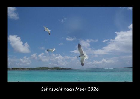 Tobias Becker: Sehnsucht nach Meer 2026 Fotokalender DIN A3, Kalender
