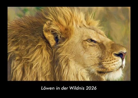 Tobias Becker: Löwen in der Wildnis 2026 Fotokalender DIN A3, Kalender