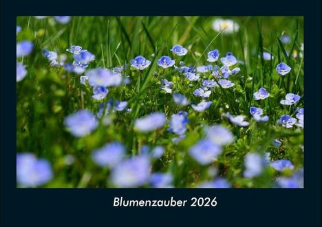 Tobias Becker: Blumenzauber 2026 Fotokalender DIN A4, Kalender