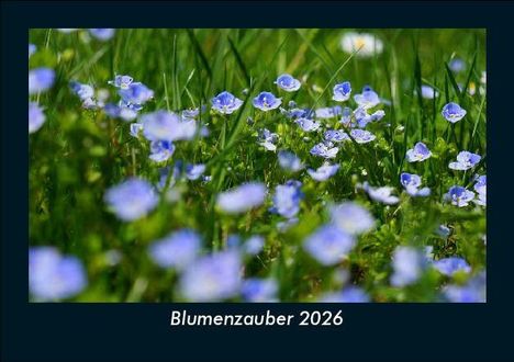 Tobias Becker: Blumenzauber 2026 Fotokalender DIN A5, Kalender