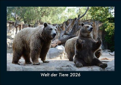 Tobias Becker: Welt der Tiere 2026 Fotokalender DIN A5, Kalender
