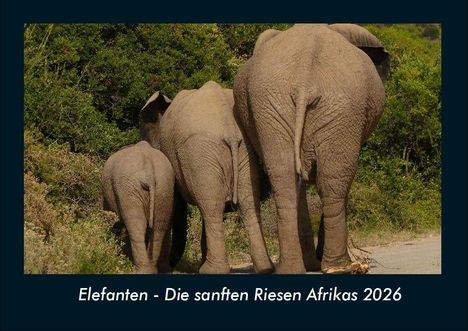 Tobias Becker: Elefanten - Die sanften Riesen Afrikas 2026 Fotokalender DIN A4, Kalender