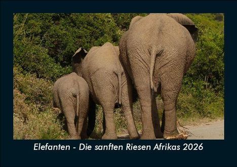 Tobias Becker: Elefanten - Die sanften Riesen Afrikas 2026 Fotokalender DIN A5, Kalender