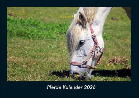 Tobias Becker: Pferde Kalender 2026 Fotokalender DIN A4, Kalender
