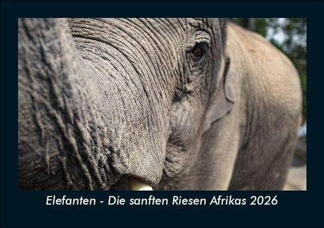 Tobias Becker: Elefanten - Die sanften Riesen Afrikas 2026 Fotokalender DIN A5, Kalender