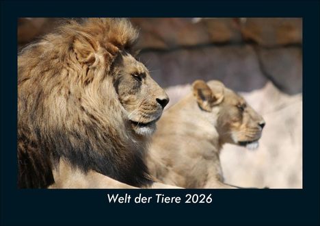 Kevin Heber: Welt der Tiere 2026 Fotokalender DIN A5, Kalender
