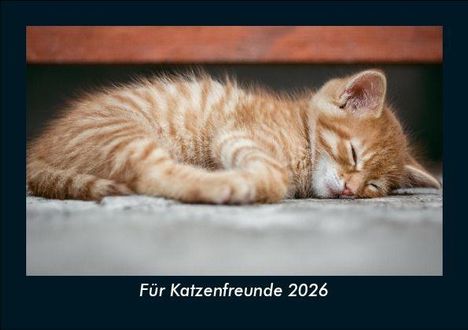 Tobias Becker: Für Katzenfreunde 2026 Fotokalender DIN A5, Kalender