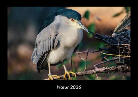 Tobias Becker: Natur 2026 Fotokalender DIN A3, Kalender