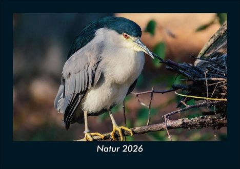 Kevin Heber: Natur 2026 Fotokalender DIN A5, Kalender